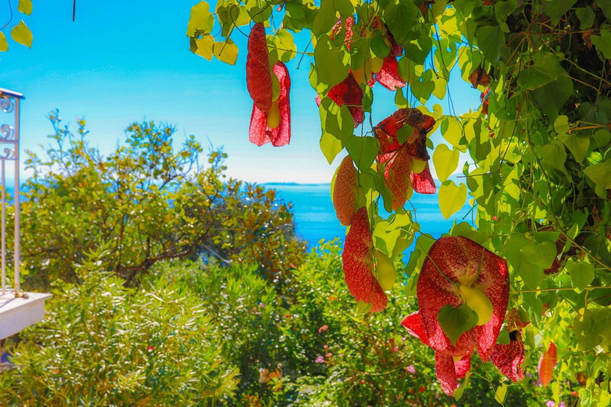 Villa Nafsika Nisaki  Екстериор снимка