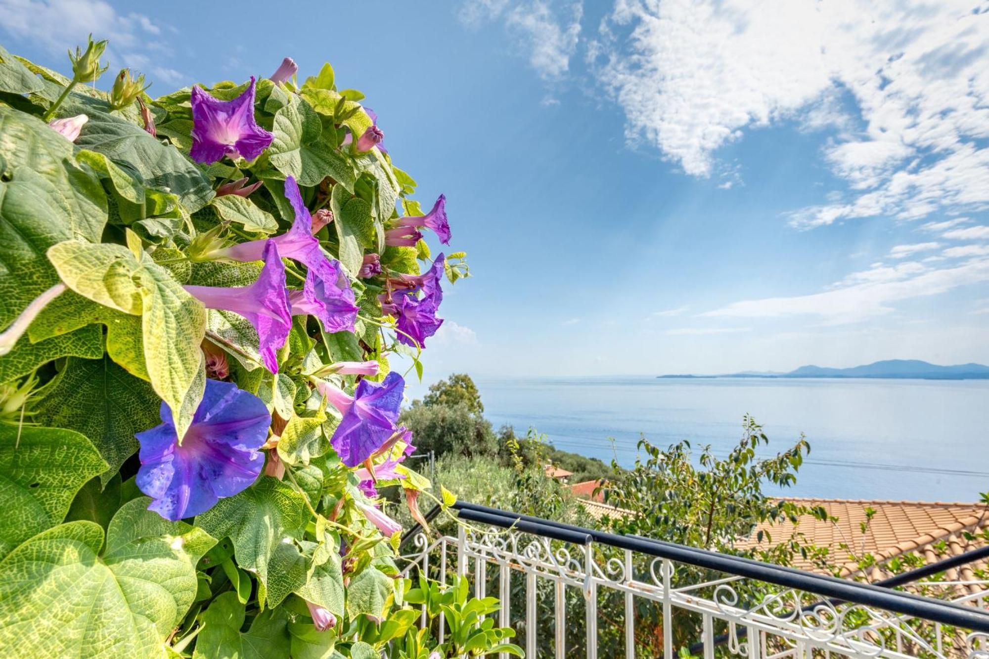 Villa Nafsika Nisaki  Екстериор снимка