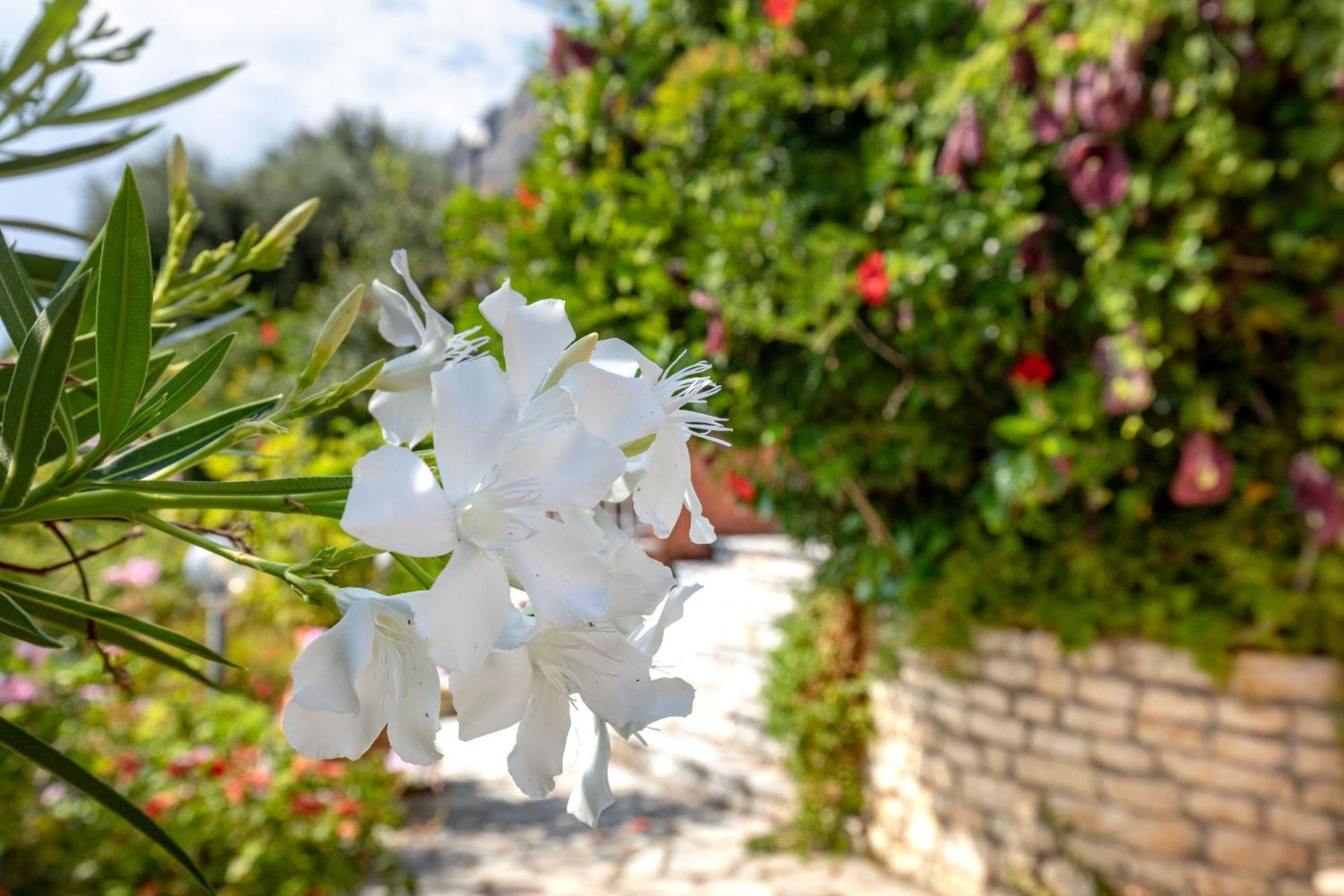 Villa Nafsika Nisaki  Екстериор снимка